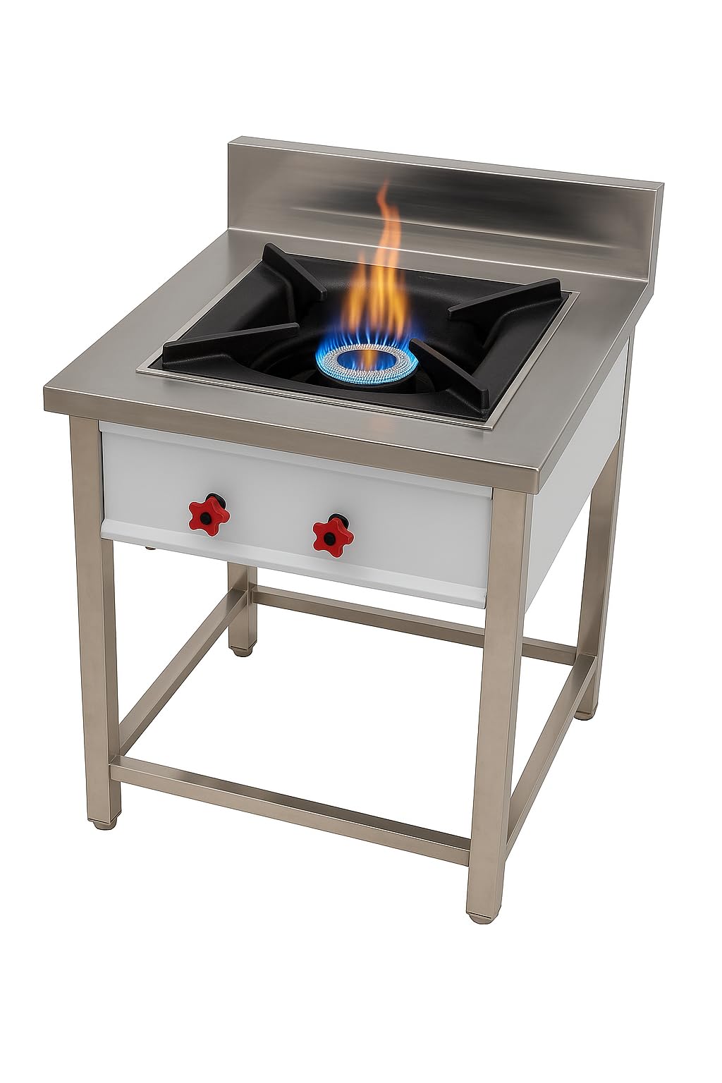 Gurubhai Equipments Commercial Stainless Steel Double Burner Gas Stove | Heavy-Duty Cooking Range with Backsplash & Control Valves for Restaurant, Hotel & Catering Kitchen