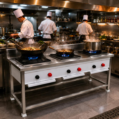 Gurubhai Equipments Stainless Steel Commercial Single Burner Gas Stove Table with Worktop Backsplash & Under Shelf for Hotel Restaurant Kitchen