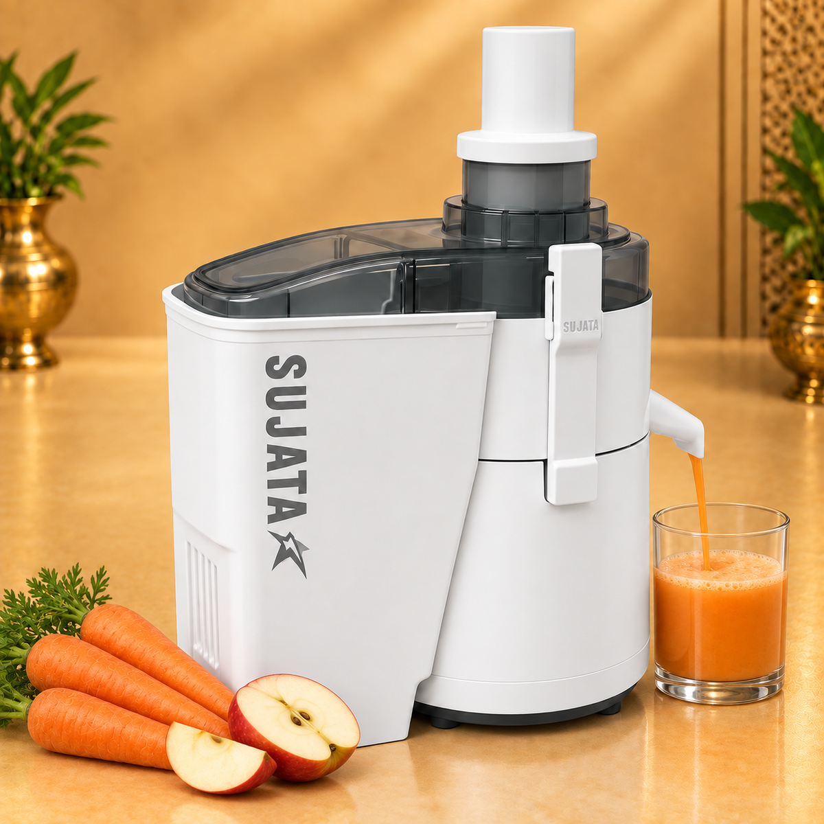 Gurubhai Equipments Sujata Powermatic Juicer – 900 W – In Use